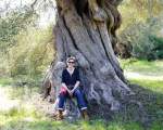 Tausendjähriger Olivenbaum