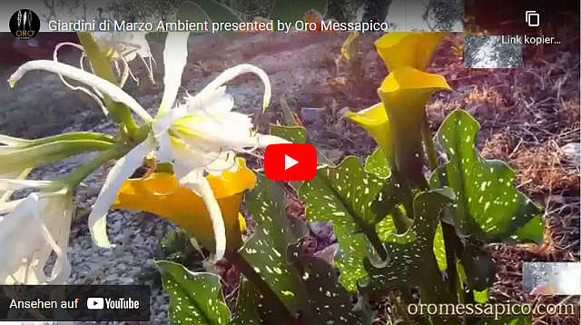 Giardini di Marzo Ambient presented by Oro Messapico